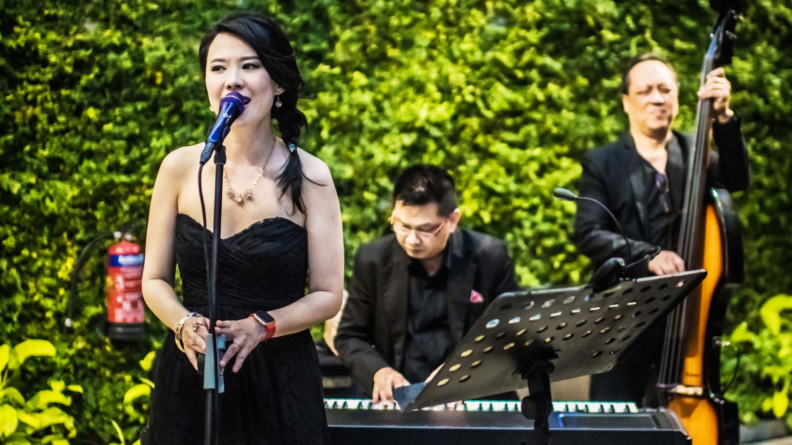 Live entertainment at an Andivia event